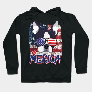 American Flag Chow Chow 4Th Of July Usa Hoodie